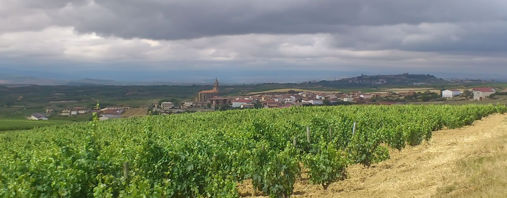 viñedos con historia