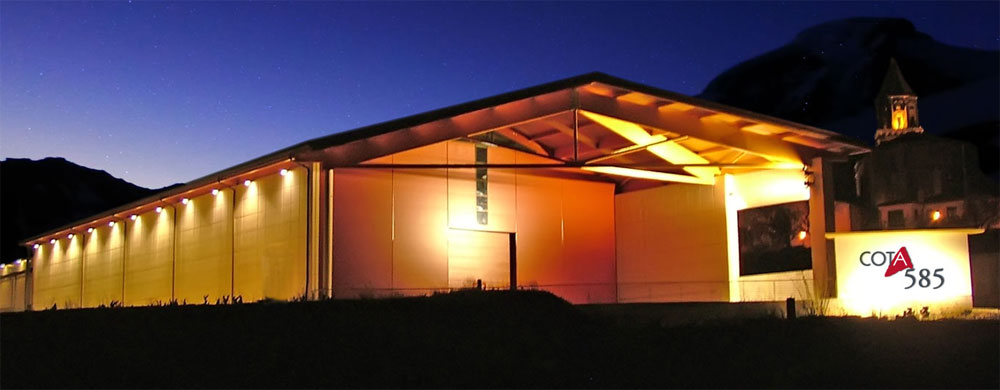 viñedos con historia