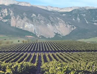 viñedos con historia