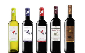 Vinos Cota 585