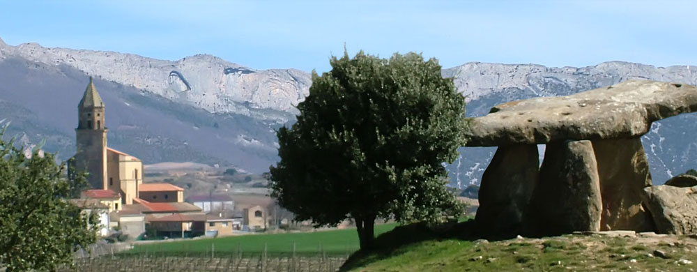 viñedos con historia