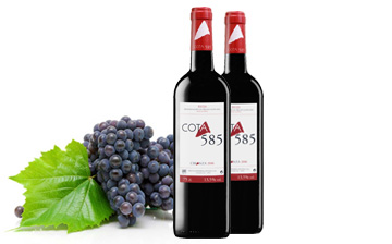 Cota585 Crianza