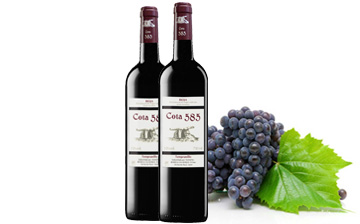 Cota 585 Tempranillo Exportacion