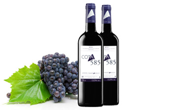 Cota 585 Tempranillo Joven