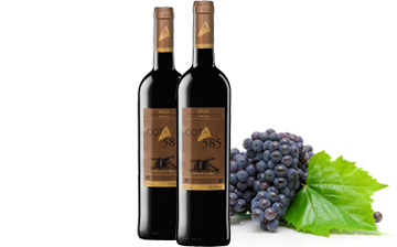 Cota 585 Tempranillo Reserva